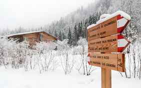  - Foto: Helmuth Rier